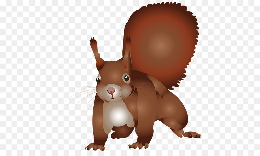 Albero di scoiattolo, Roditore Disegno - scoiattolo