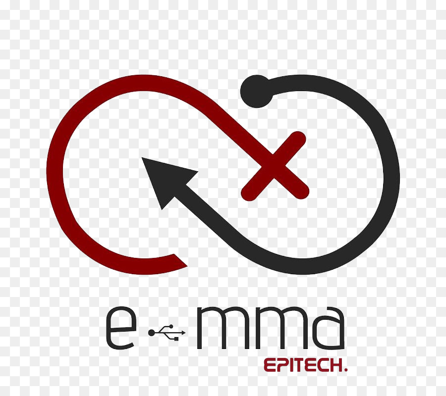 EPITECH (Scuola per l'elaborazione dei dati e nuove Tecnologie), la Scuola di informatica Misto-educazione sessuale - scuola