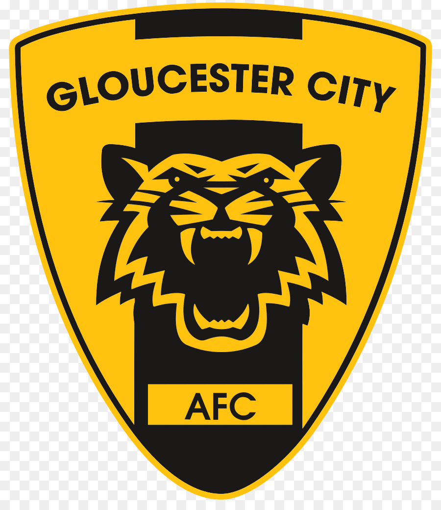 Gloucester Thành Phố F. C. Harlow F. C. Giải Đấu Quốc Gia Nam Tiết Thị Trấn F. C. - Bóng đá