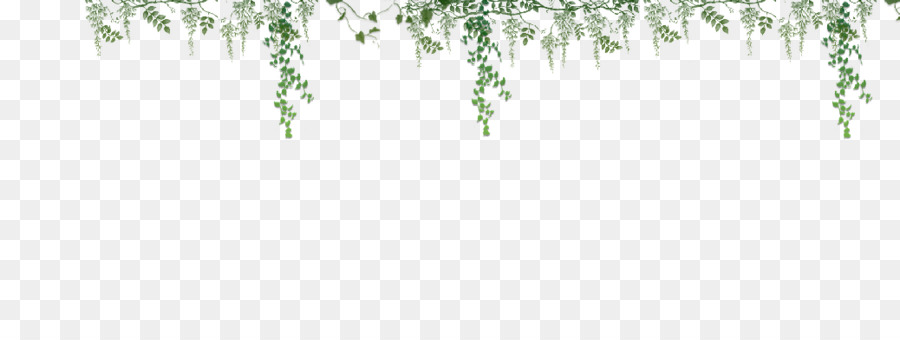 Un ramoscello di Verde Erbe staminali Vegetali a Foglia - foglia