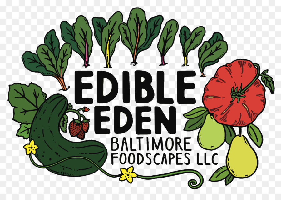 Bảo Tàng do thái Maryland súp Gà Logo Ăn Eden Baltimore Foodscapes LLC bảo tàng Nghệ thuật - nahunta thịt lợn outlet