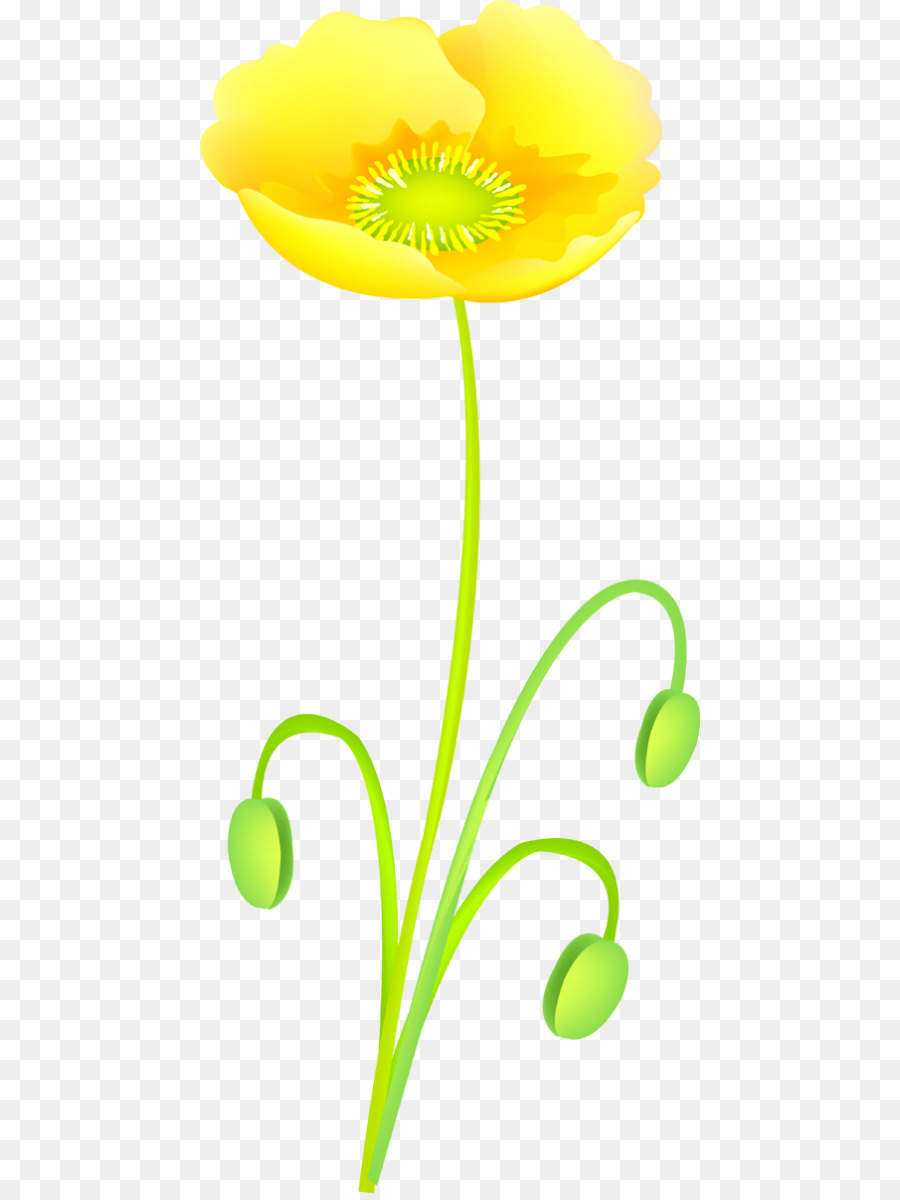 Cánh hoa Google Hình ảnh Clip nghệ thuật - hoa