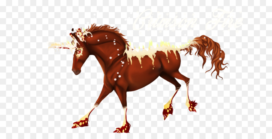 Mustang Hengst Halfter Pony Rein - Mustang