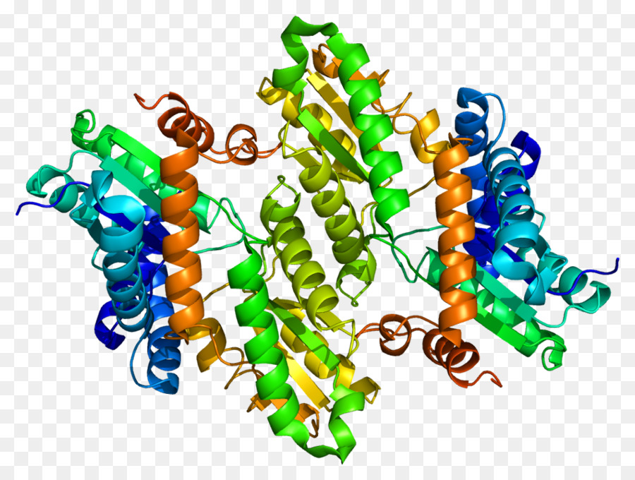 Ferrochelatasi Eme protoporfiria Eritropoietica Enzima Porfirina - proteine