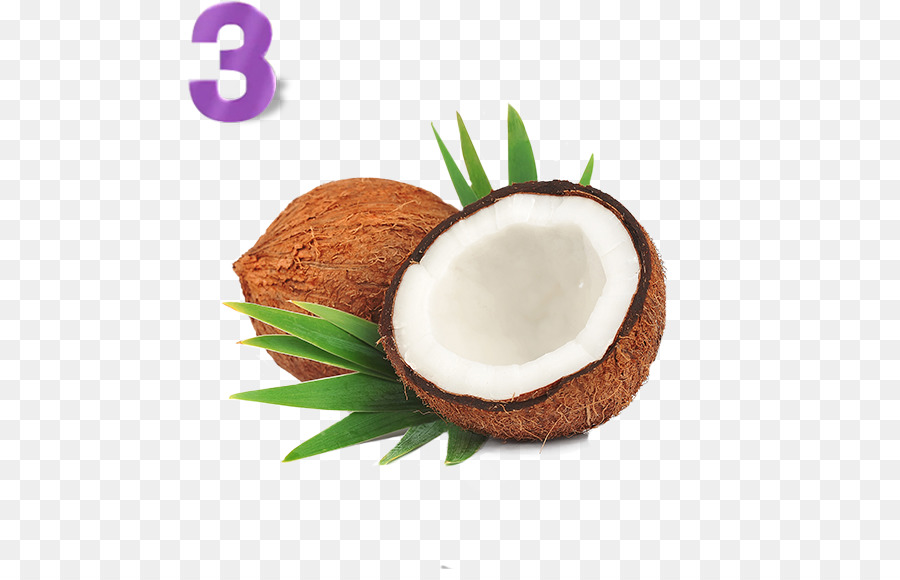 Coconut Cartoon