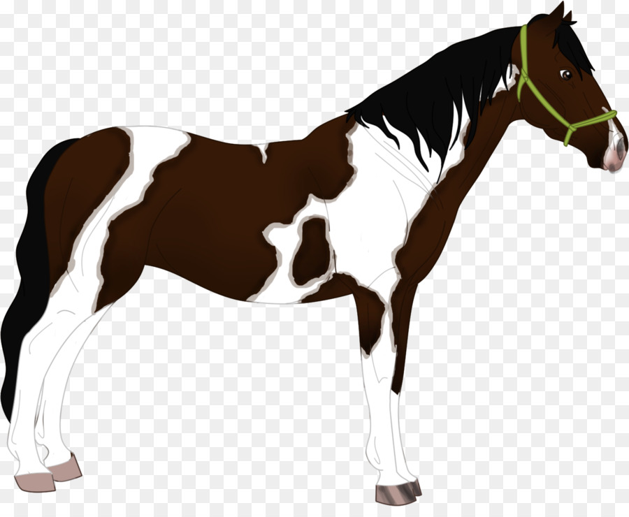 Bờm Ngựa Ngựa Con Ngựa Mustang - mustang