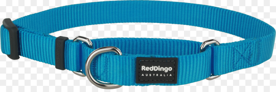 Hund Dingo Halsband Martingale - Hund