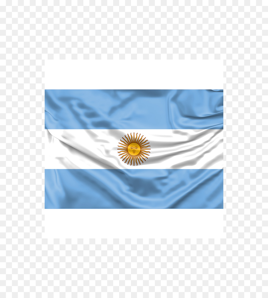 Cờ của Argentina Cờ ra, Tổ chức - cờ