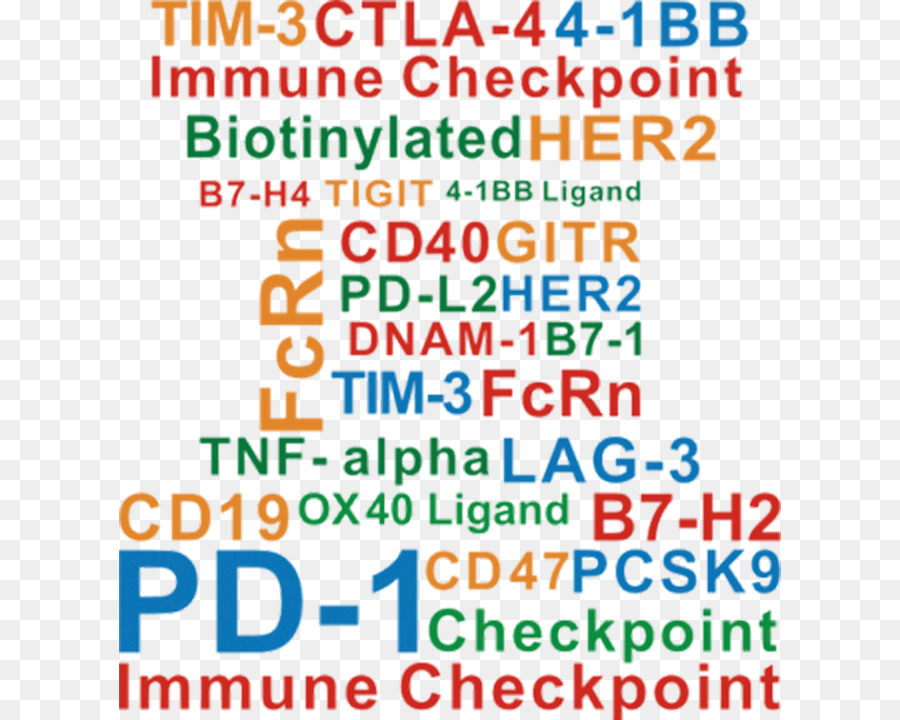 Immunitario checkpoint immunoterapia del Cancro morte Programmata delle cellule proteina 1 CTLA-4 - Checkpoint immunitario