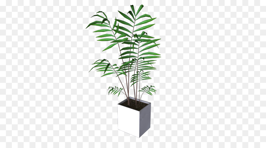 Arecaceae Vaso pianta d'appartamento staminali Vegetali a Foglia - foglia