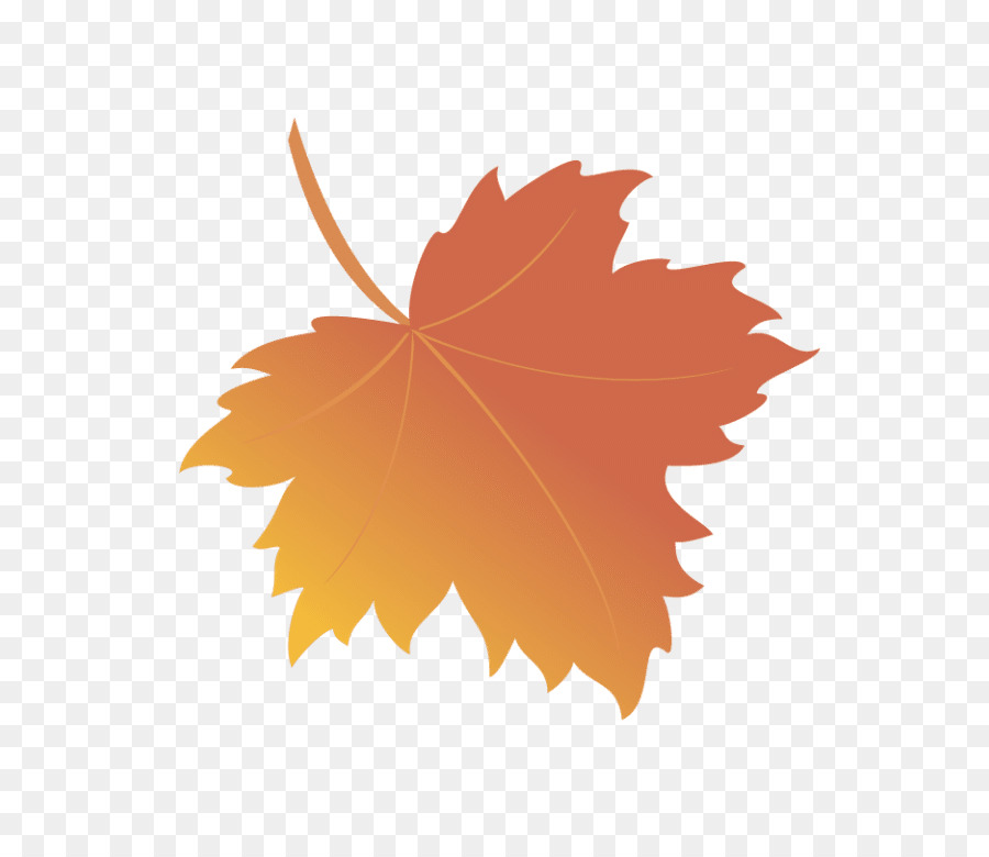 Autumn Cartoon png download - 768*768 - Free Transparent Maple Leaf png  Download. - CleanPNG / KissPNG
