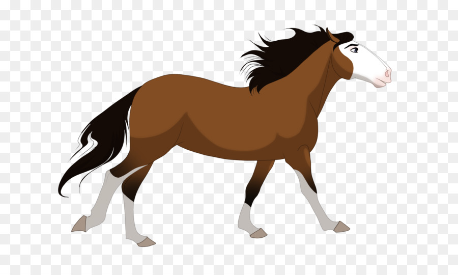 Mustang Fohlen Hengst Pony, Friesen - Mustang