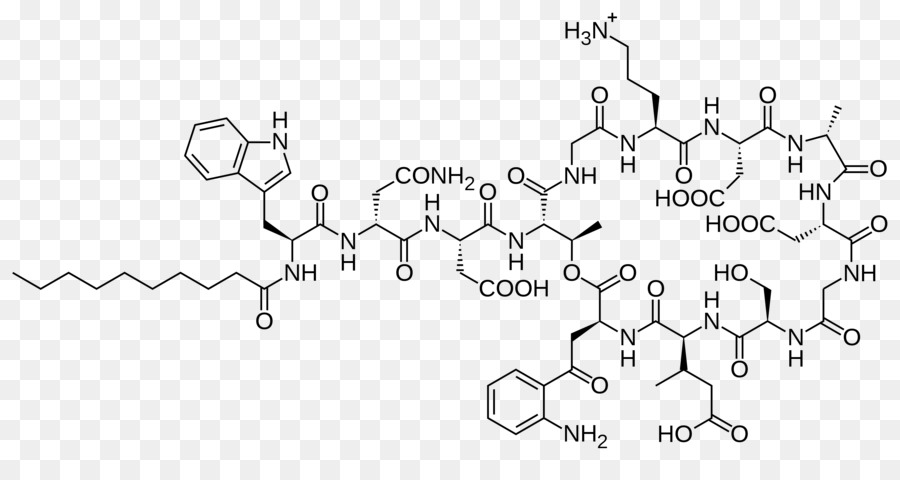 Daptomicina peptidi Antimicrobici Lipopeptide Antibiotici - structurebased scoperta della droga