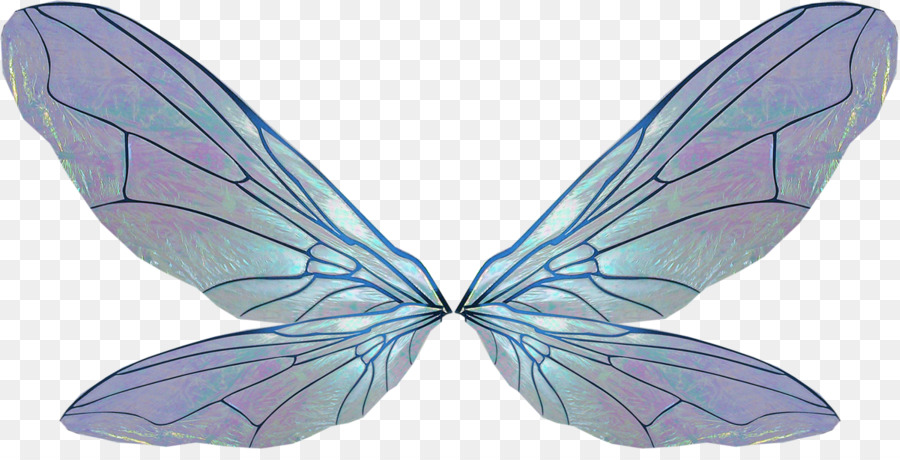 Pinsel-footed butterflies Крылья / Flügel-Archiv-Datei-RAR - - andere