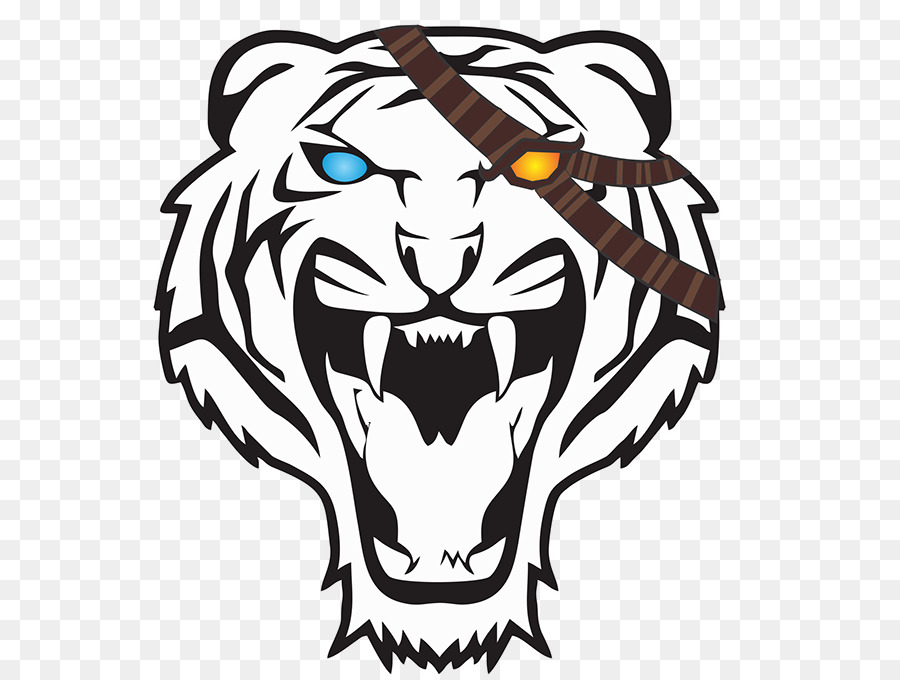Tiger Zeichnung - Tiger