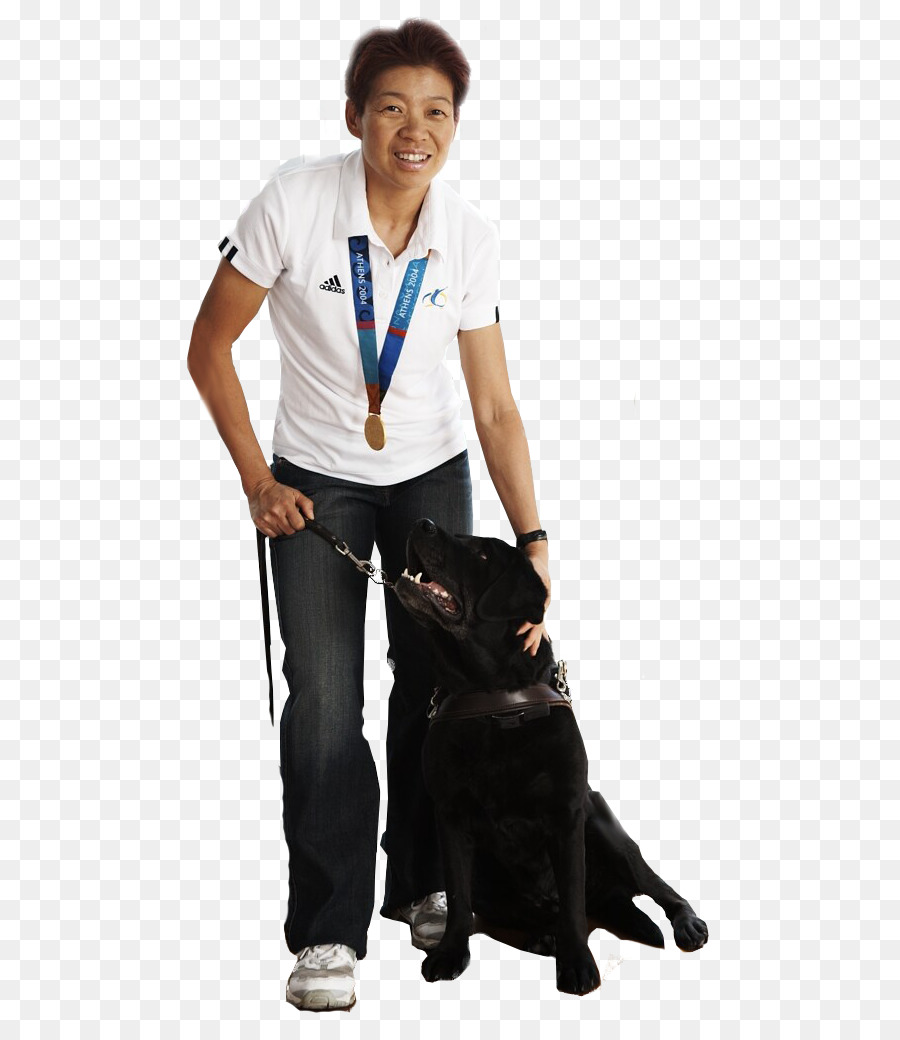 Hund Lindy Hou Paralympischen Spiele 2014 Winter Paralympics Leine - Hund