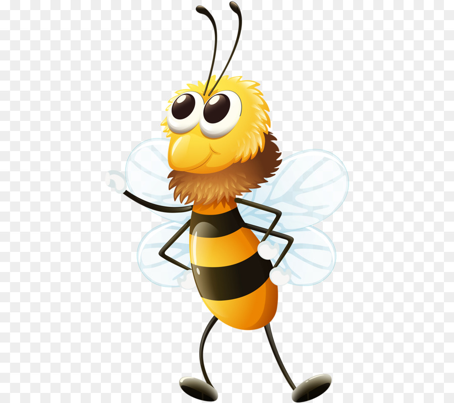 Biene, Insekt clipart - Biene