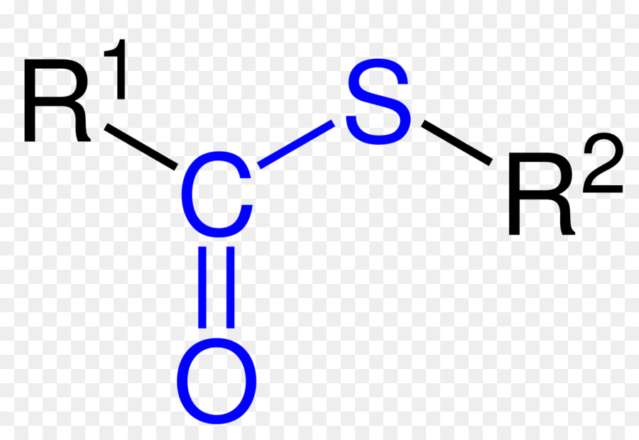 Dimethyl sulfôxít Methylsulfonylmethane Nhóm tổ Chức năng, Dimethyl sulfide - malonyl coa