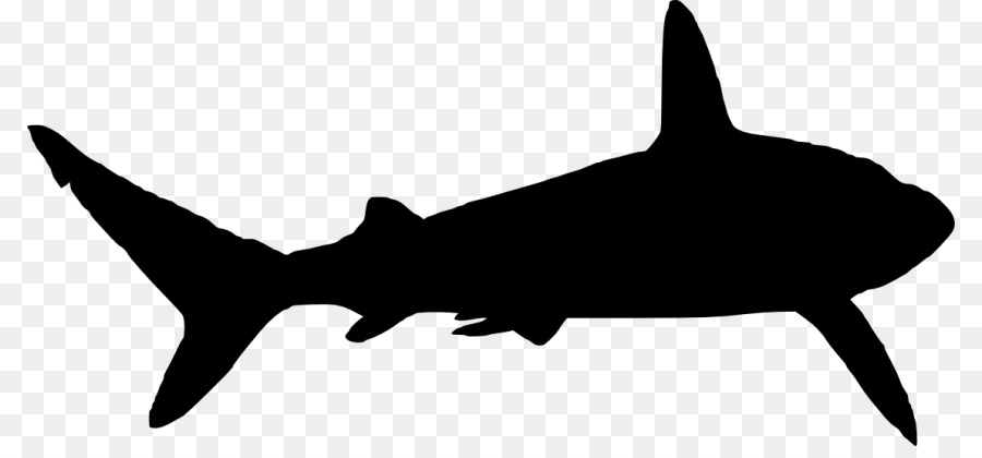 Grande squalo bianco Silhouette Clip art - squalo