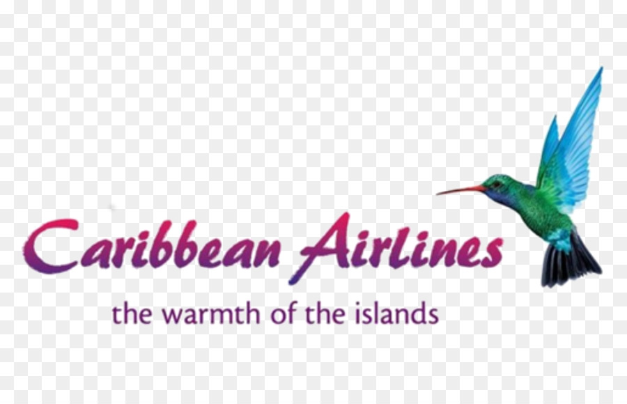Aeroporto Internazionale Di Piarco Cheddi Jagan International Airport Caribbean Airlines ' Aeroporto Internazionale Lynden Pindling Volo - Piarco