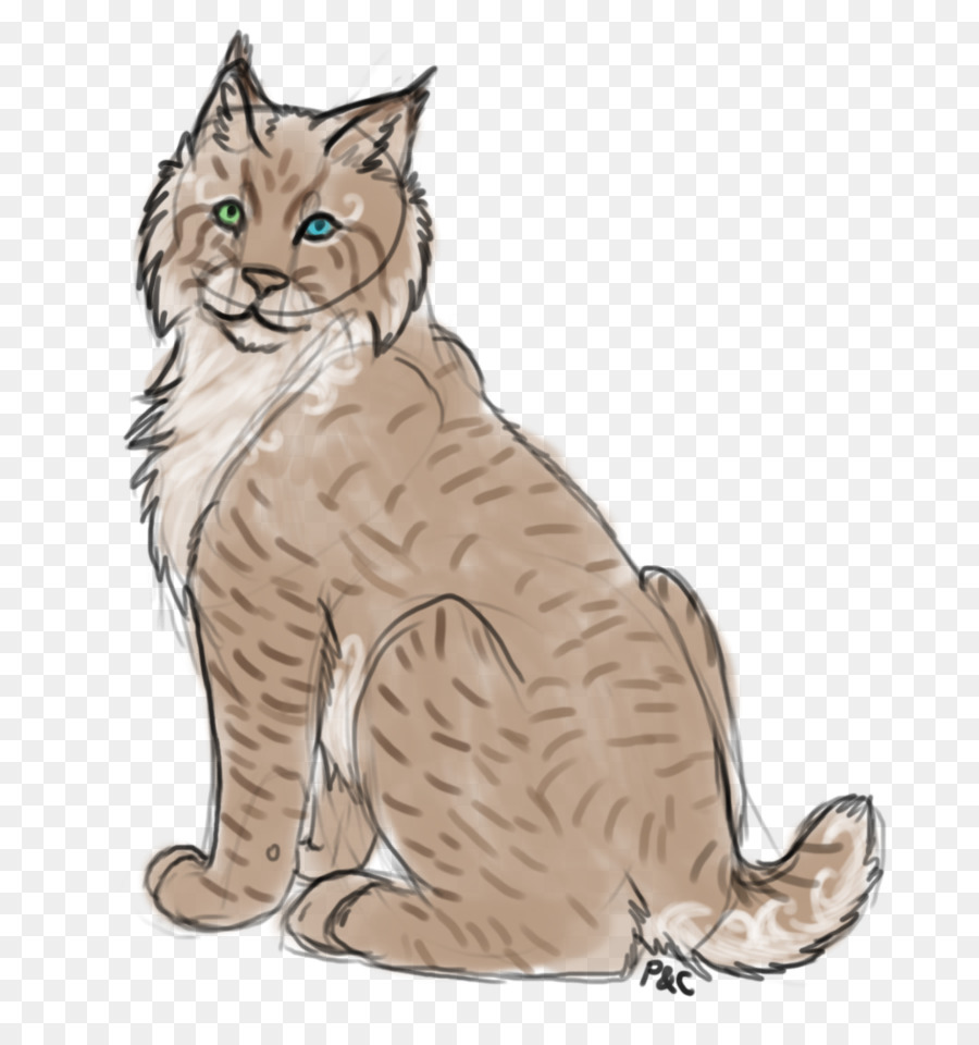 Die schnurrhaare von Kätzchen, Tabby cat, Domestic short haired cat Wildcat - Kätzchen