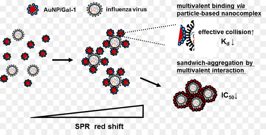 Virus Delle Nanoparticelle Gripiviirused Kultananopartikkeli Influenza - Influenzavirus B