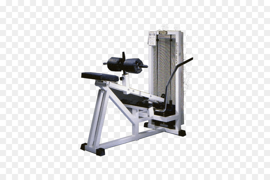 Gewichtheben Maschine Fitnesscenter Der Verde Sport Di Guerriero Ornella Technogym - Kalb