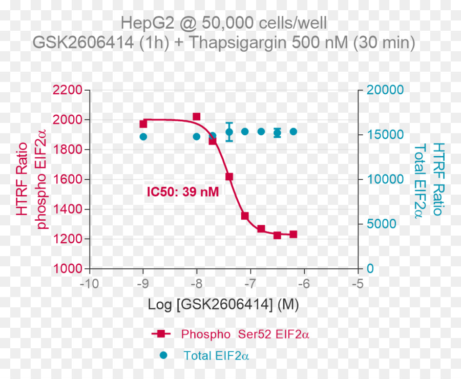 eIF2 Phosphorylierung des Eukaryotic Translation Initiation Factor 2 alpha Kinase 1 Assay Cell - Radioimmunoprecipitation assay Puffer