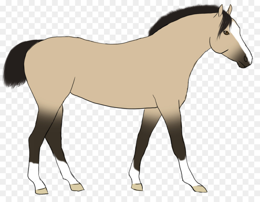 Chú Ngựa Ngựa Mare Colt Mustang - mustang