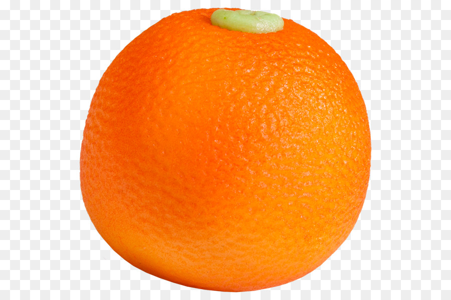 Clementine und Blutorange Mandarine orange-Mandarine - Orange