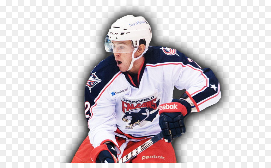 Hockey su ghiaccio Tampa Bay Lightning Quebec Remparts Portiere maschera 2013-14 stagione NHL - jonathan m mcgee fotografia