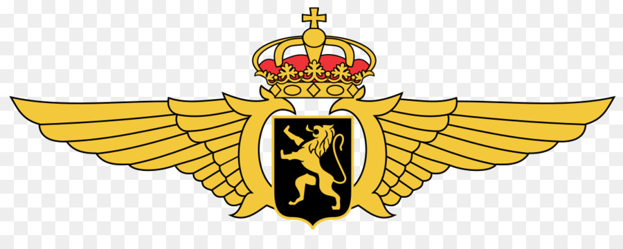 Bỉ F-16 chiến Đấu Falcon Bỉ Không thành Phần Không quân Bỉ Lực lượng Vũ trang - quân sự