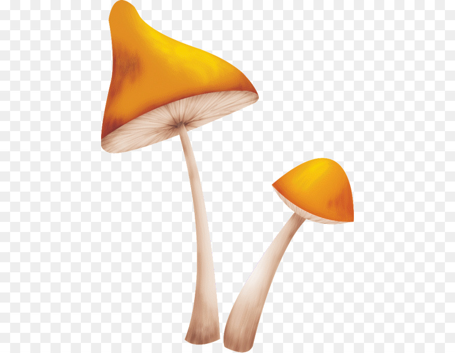 Mushroom Ucraino alfabeto per i bambini Fungus - funghi