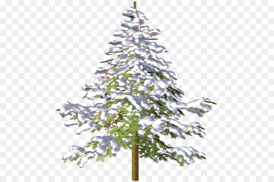 Sam cây Giáng sinh linh Sam Pine - cây