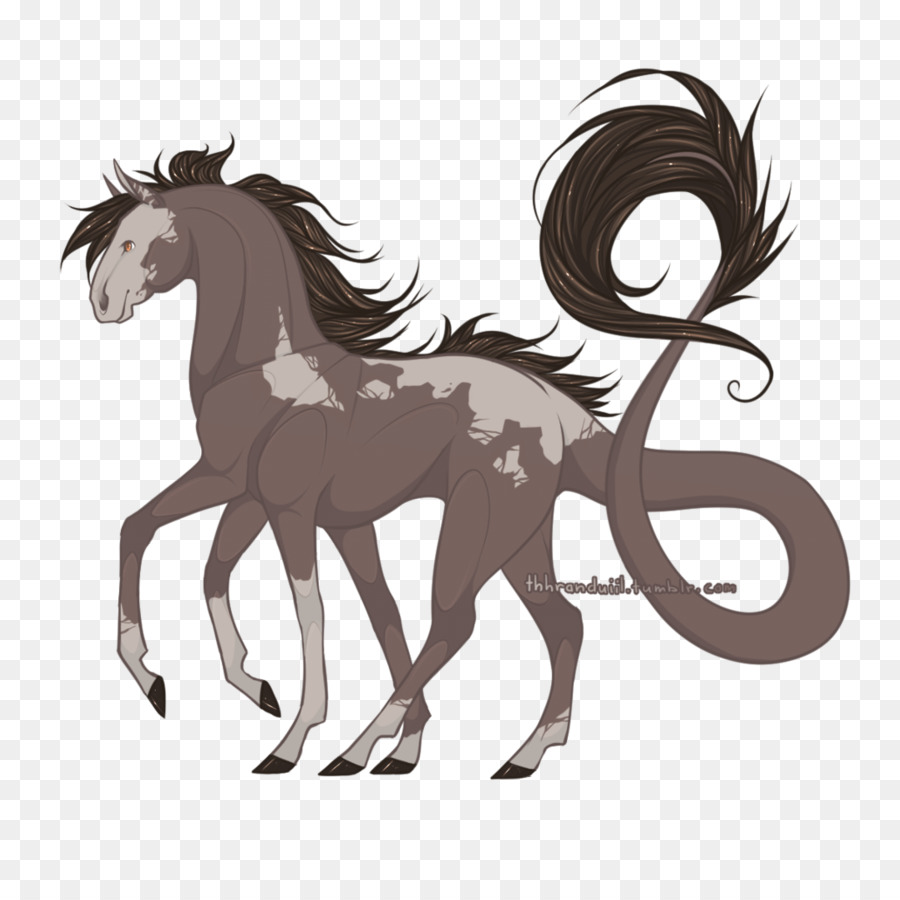 Pony Mustang Stallone Puledro Puledro - mustang