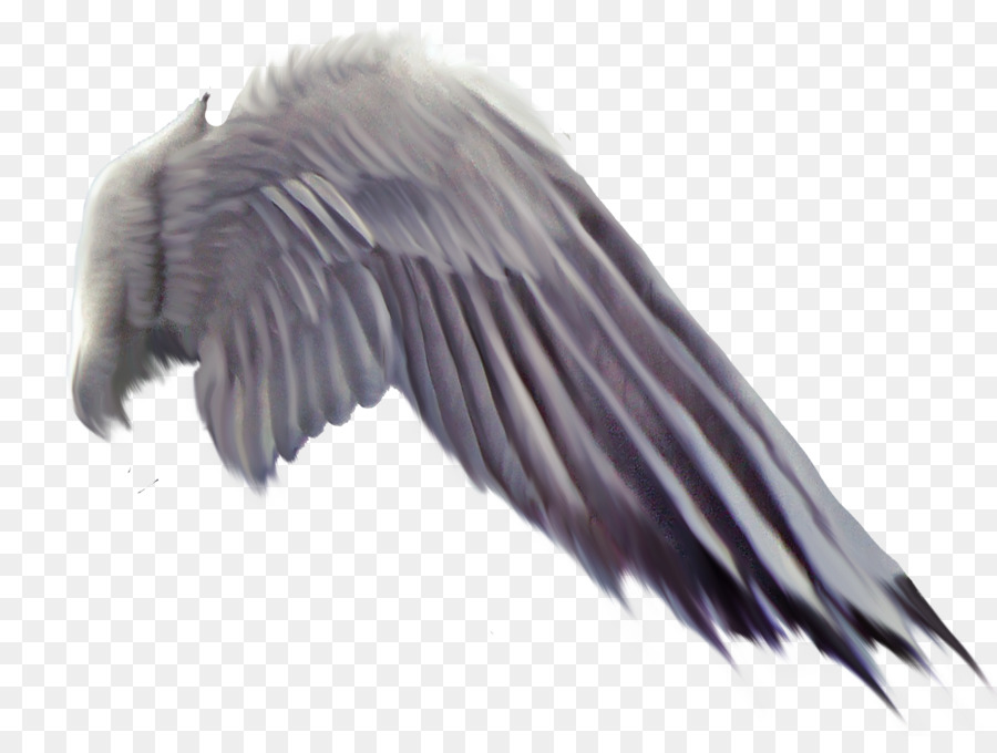 A volo d'uccello Ala Vulture - uccello