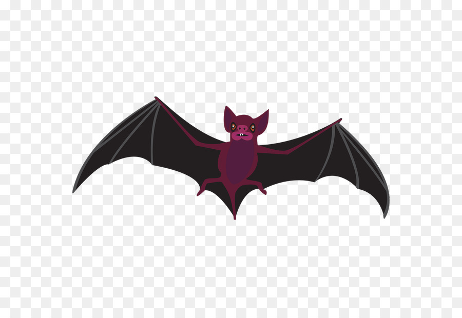 Vampiro pipistrello volpe Volante Clip art - pipistrello