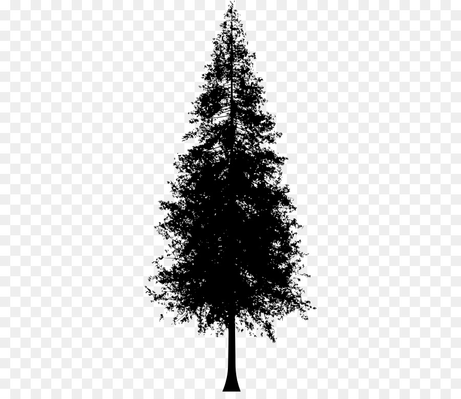 Redwood National und State Parks Coast redwood Tree Clip art - Baum