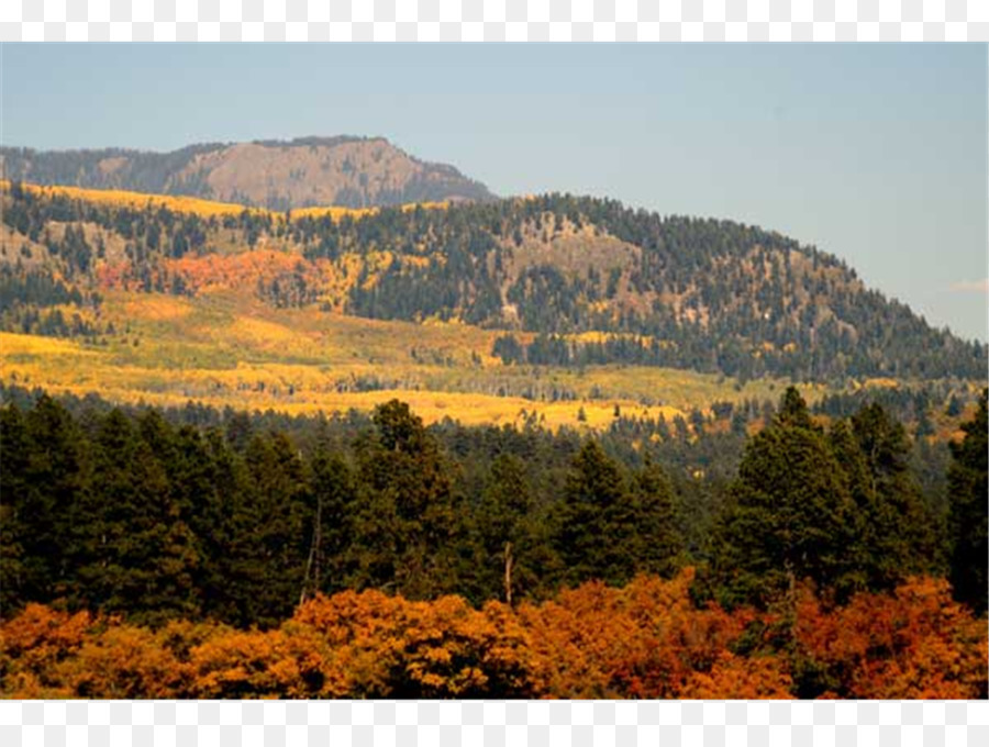 Gemäßigten laubbaum und gemischten Wald, Wildnis, Naturschutzgebiet Broad-leaved tree National park - Pagoden Quellen