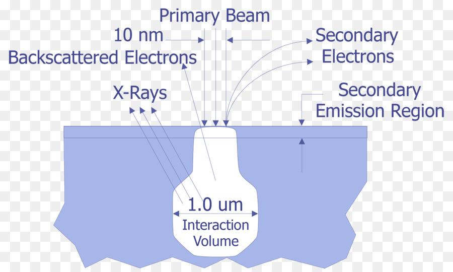 Raster-Elektronen-Mikroskop-Rückstreu-Spektrum - Mikroskop
