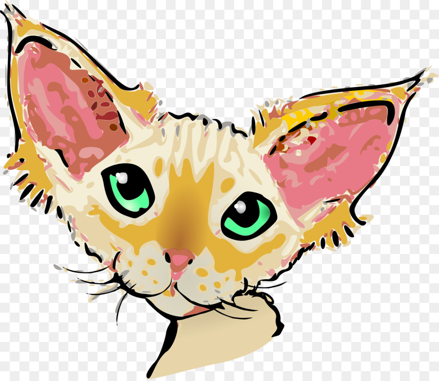 Râu Devon Rex trong Nước ngắn mèo con mèo hoang Clip nghệ thuật - tai mèo