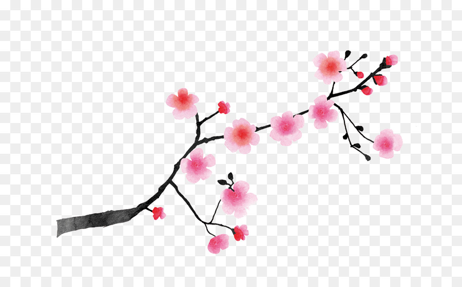 Này Đông, châu Á, Cherry hoa Nhật Trắng - hoa anh đào