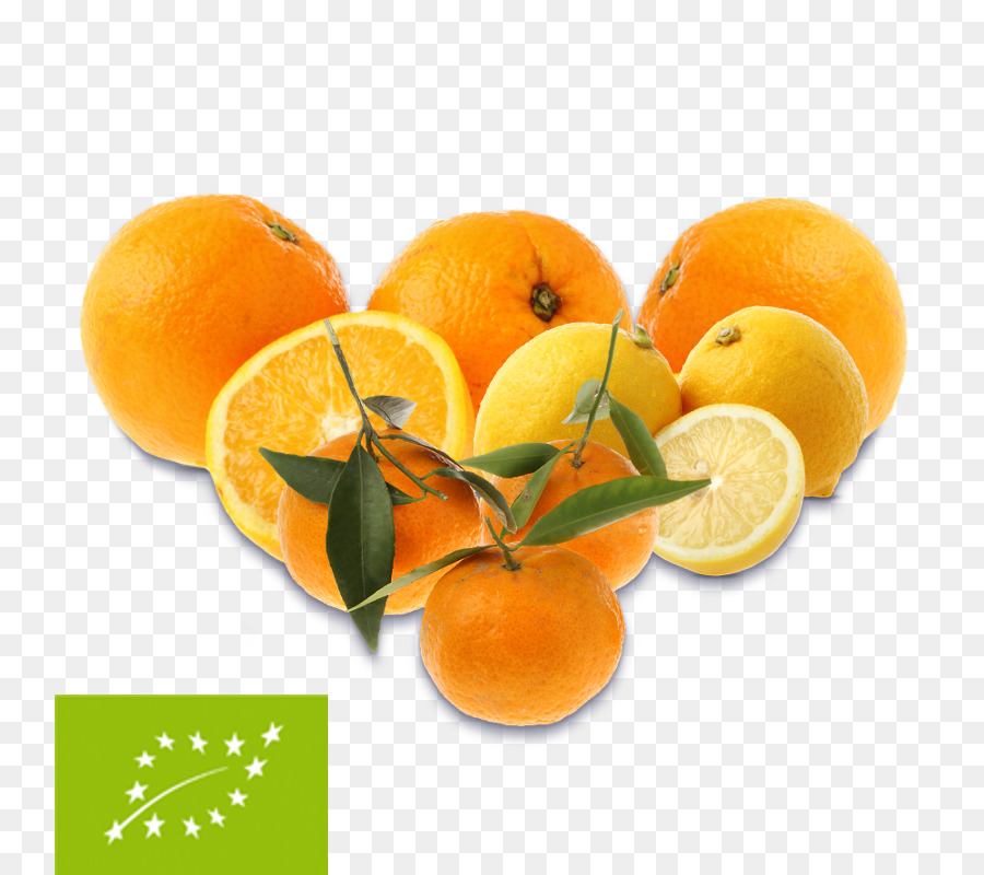 Clementine Mandarine orange Zitrone Grapefruit - Zitrone