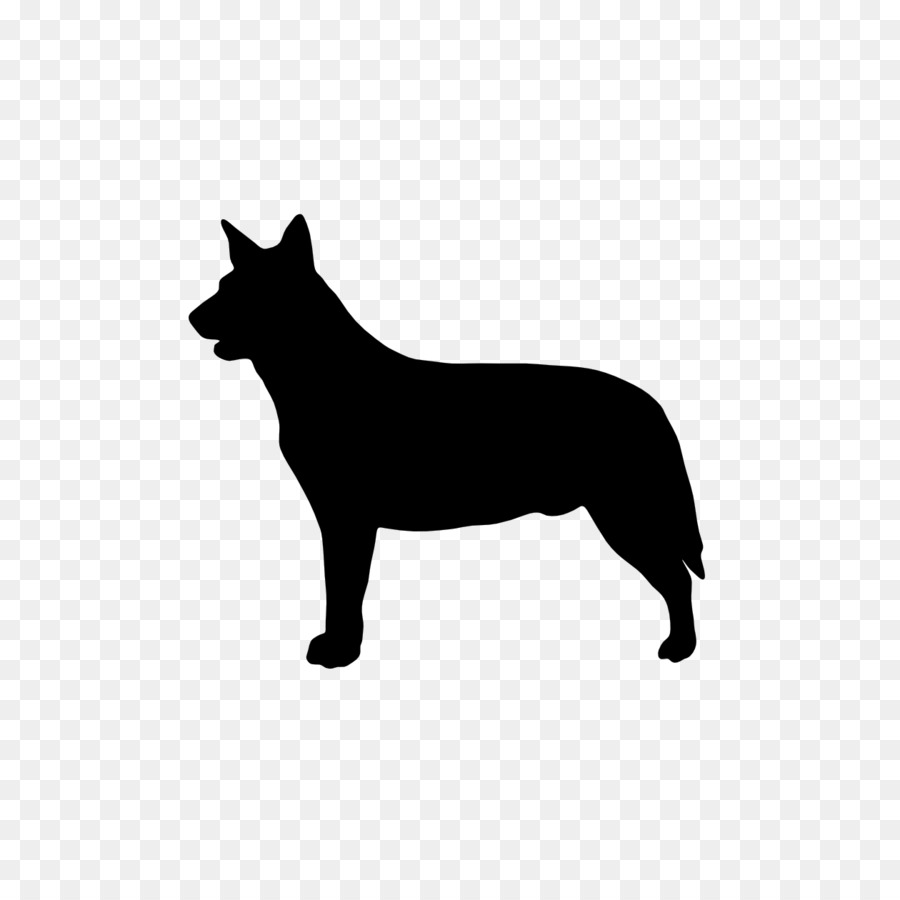 Australian Cattle Dog Stumpy tail cattle dog Decal Adesivo Boxer - Maglietta
