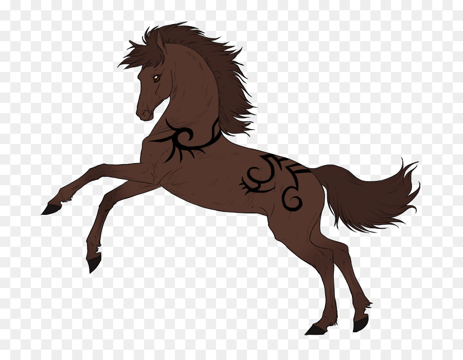 Mane Pony Fohlen Hengst Mustang - Mustang