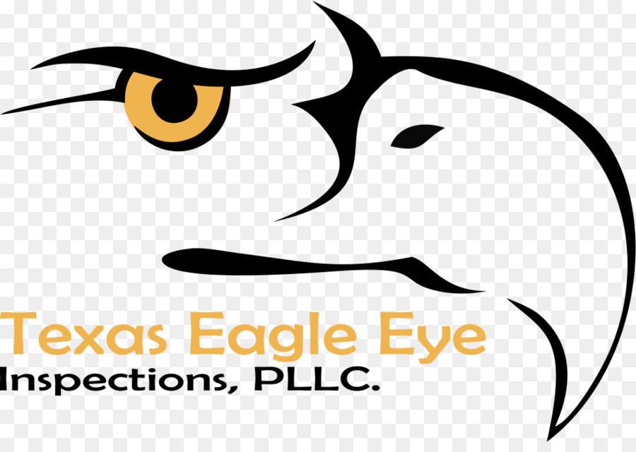 Texas Eagle Eye Ispezioni, PLLC. Ispezione a casa 0 - altri