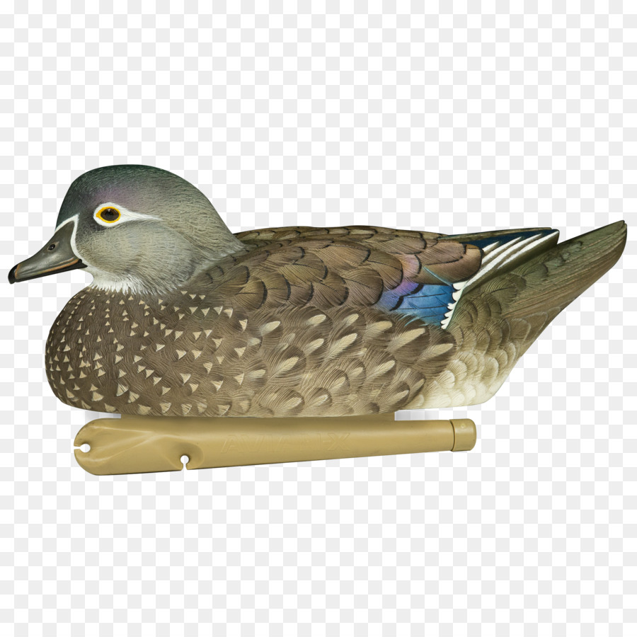 Mallard Duck Goose decoy - Ente