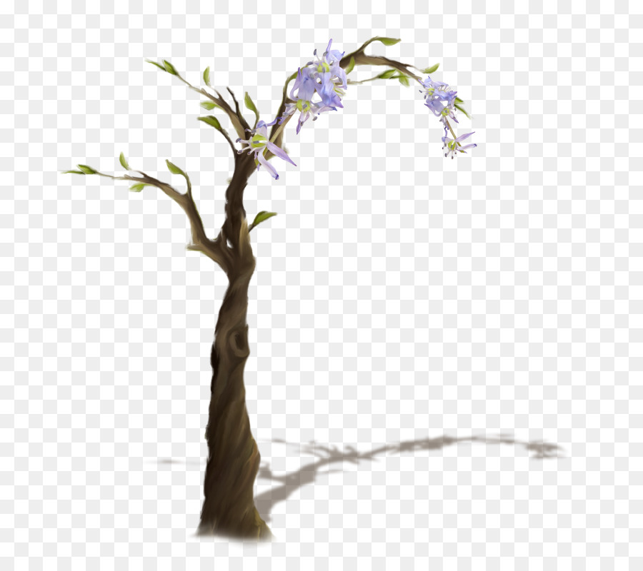 Un ramoscello di Albero Clip art - albero