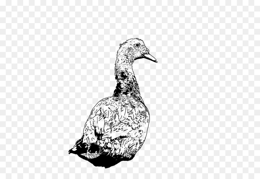 DuckDuckGo In Piuma D'Oca 0 - anatra