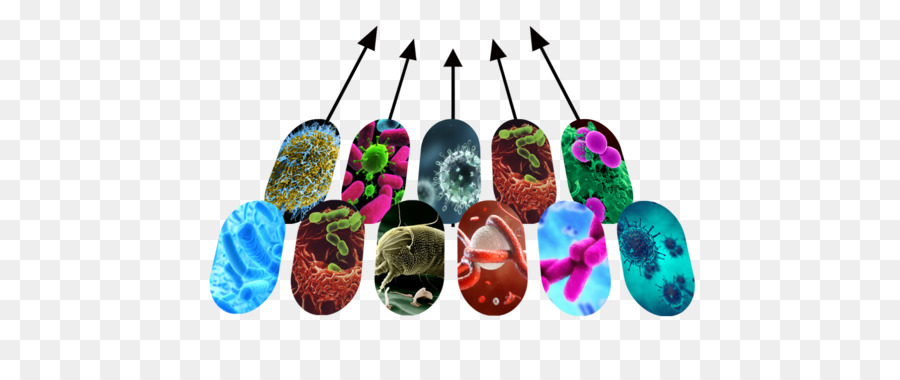 Metagenomica Microrganismo di sequenziamento del DNA di Microbiologia Microbiota - nucleo del DNA